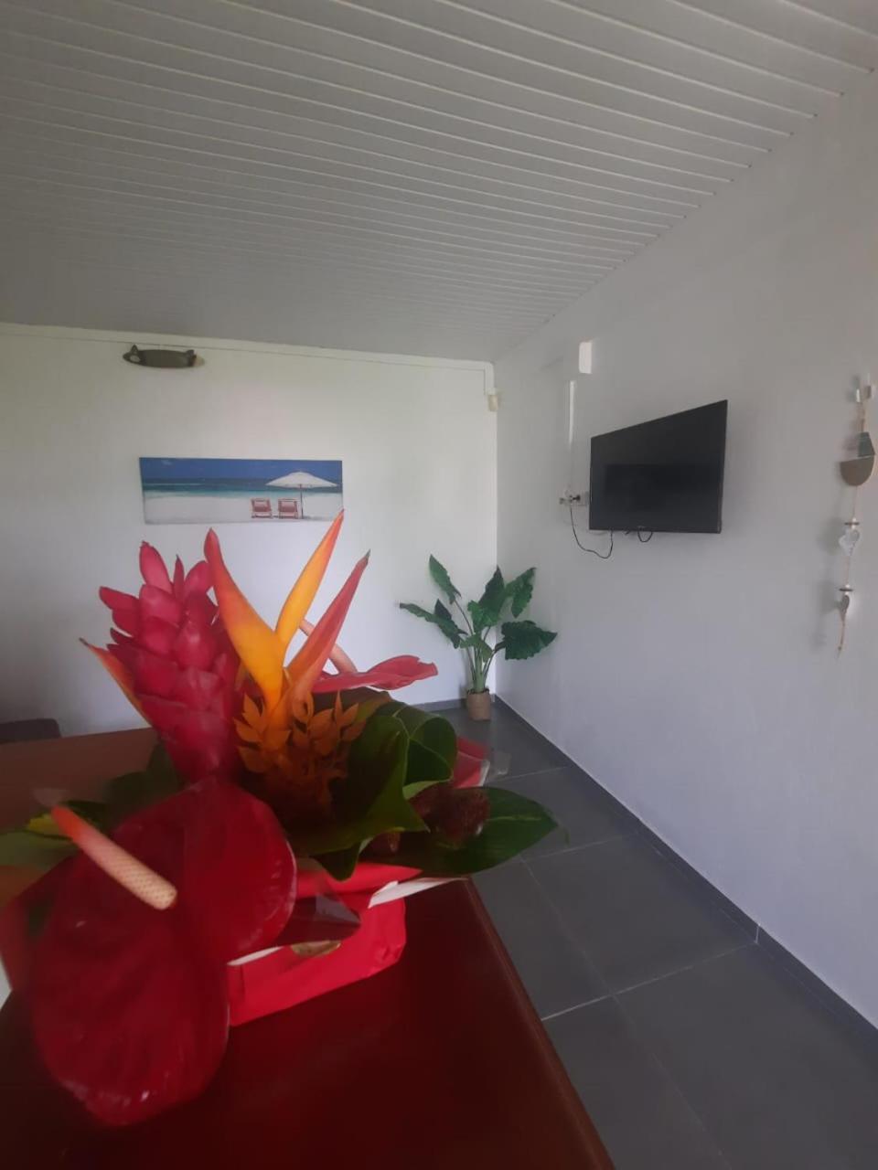 5 Min Plage T2 Ideal Pour Retraites/Jeune Couple 圣吕斯 外观 照片